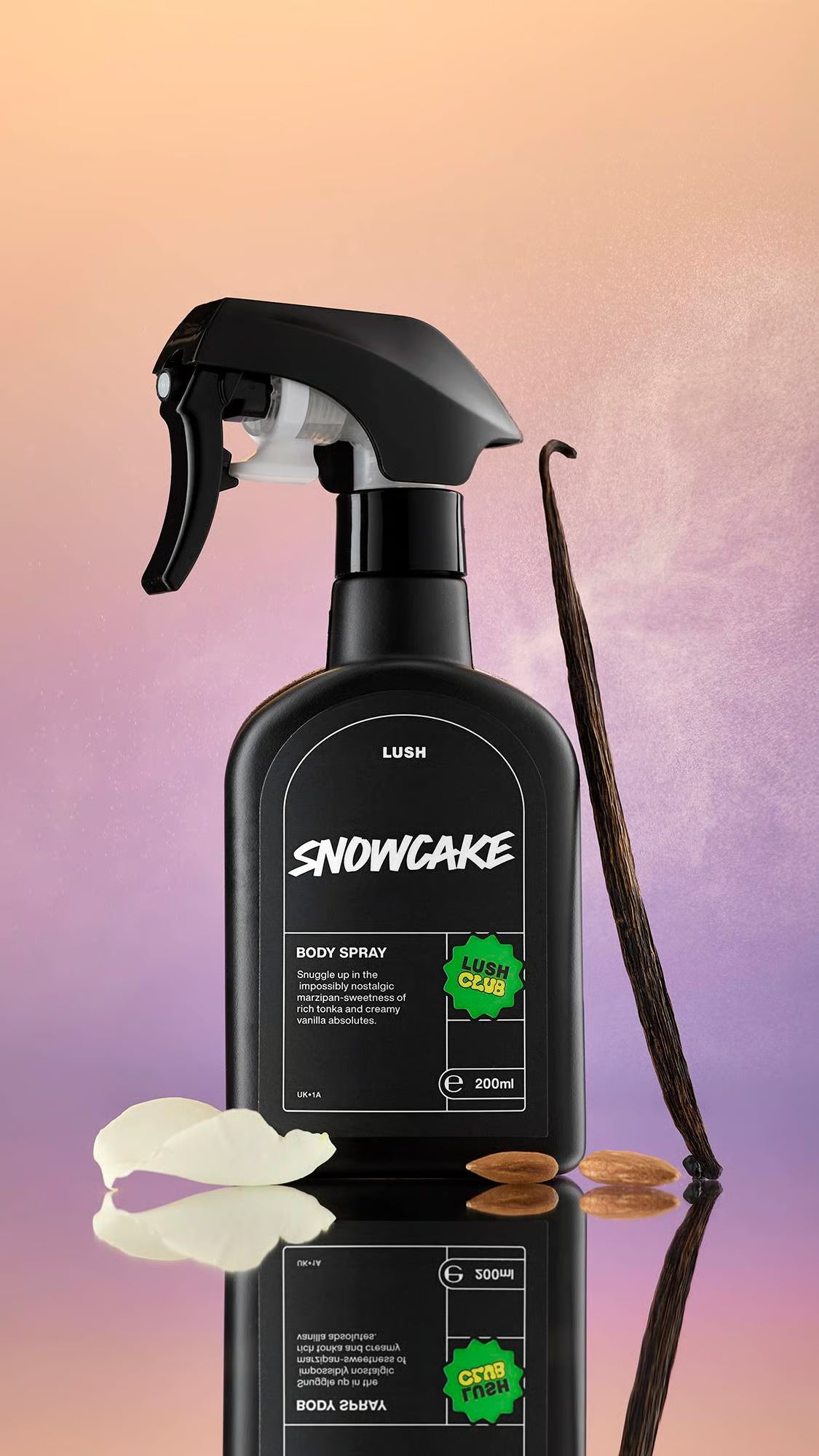 Snowcake