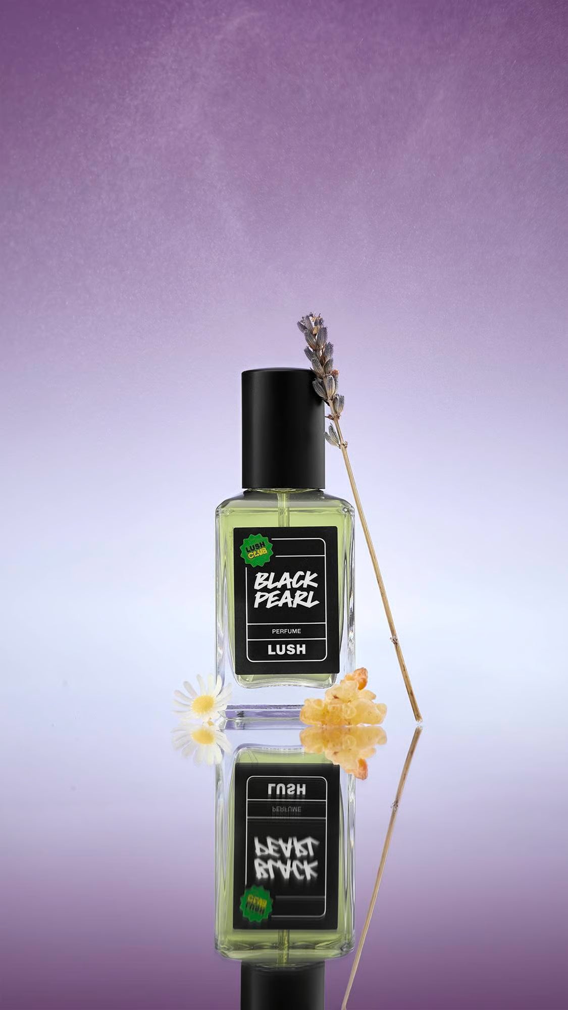 Black Pearl