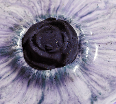 Black Rose