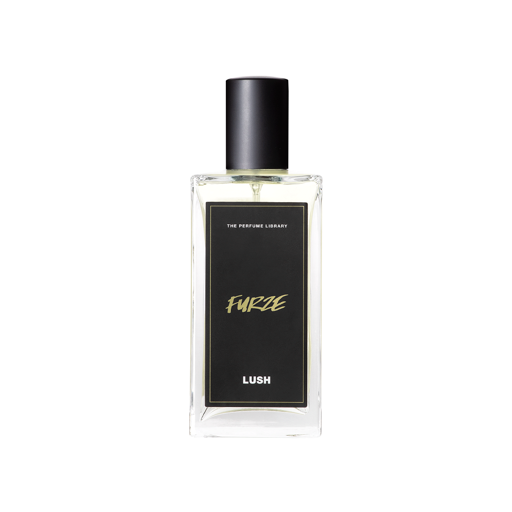 Furze