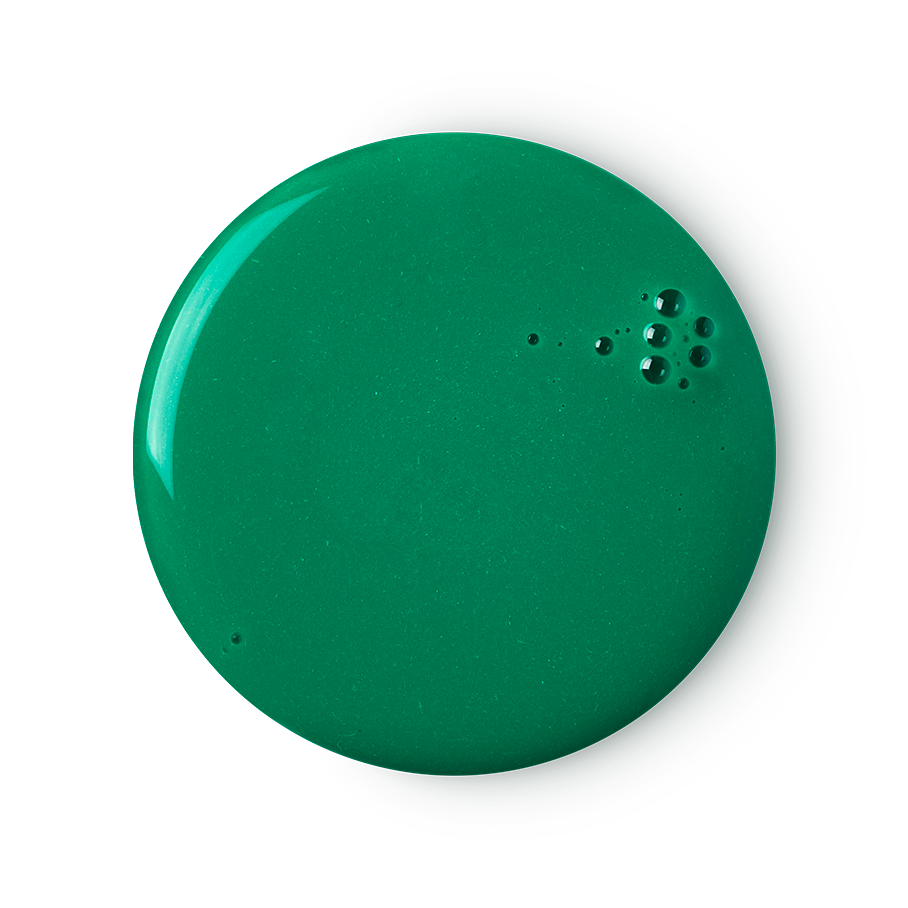 Lord Of Misrule
