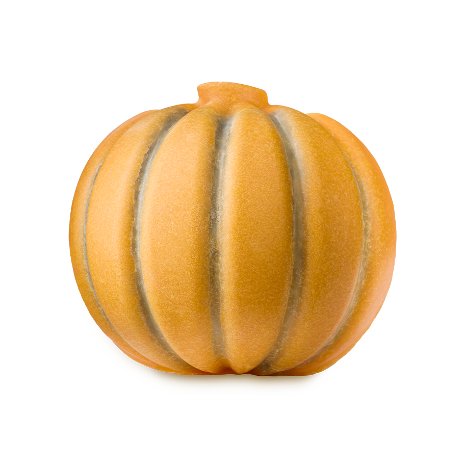 Pumpkin Scrubee