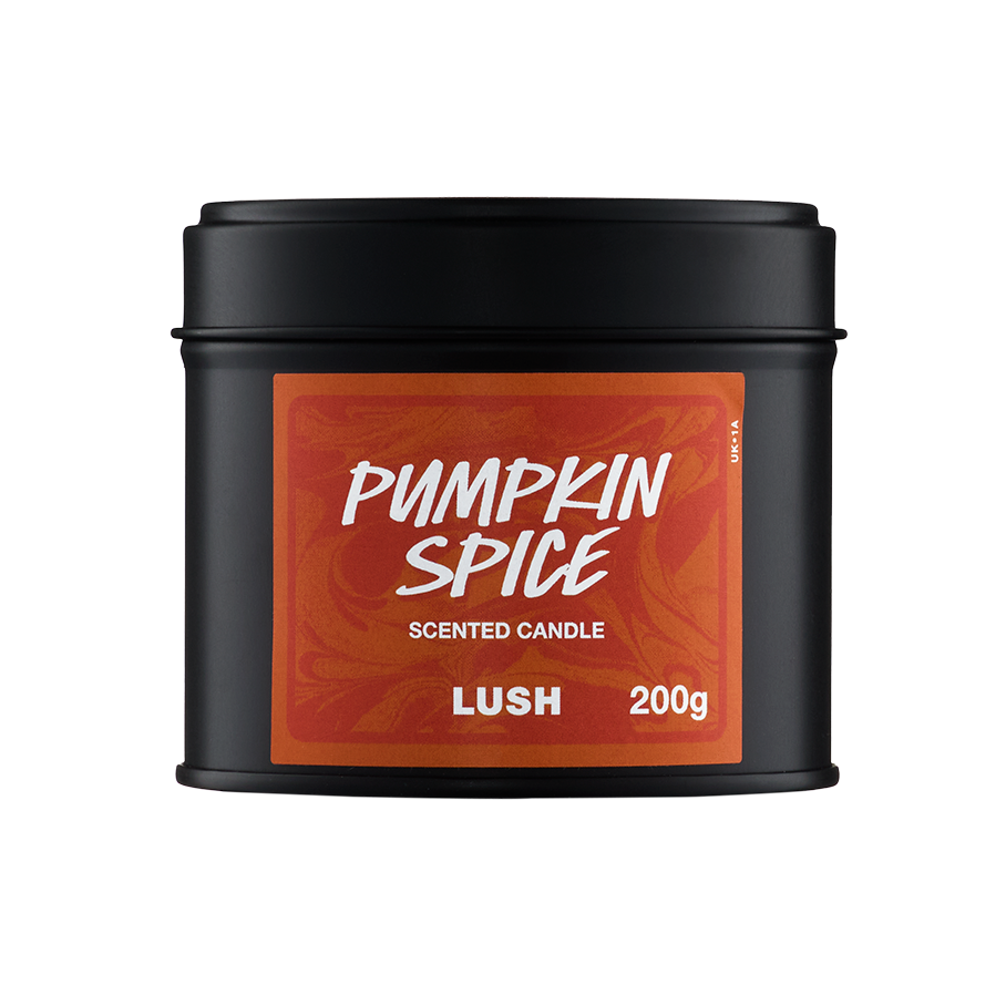 Pumpkin Spice Single Wick Candle