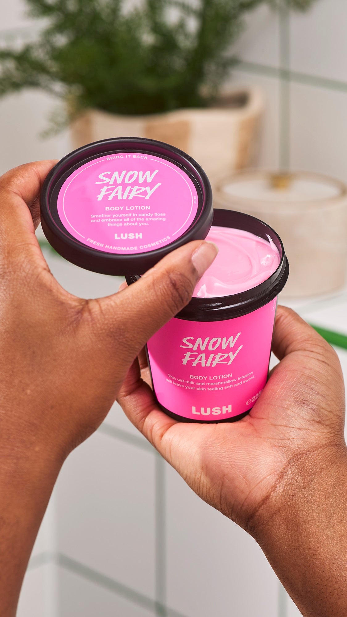 Snow Fairy