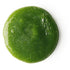 Wasabi Shan Kui